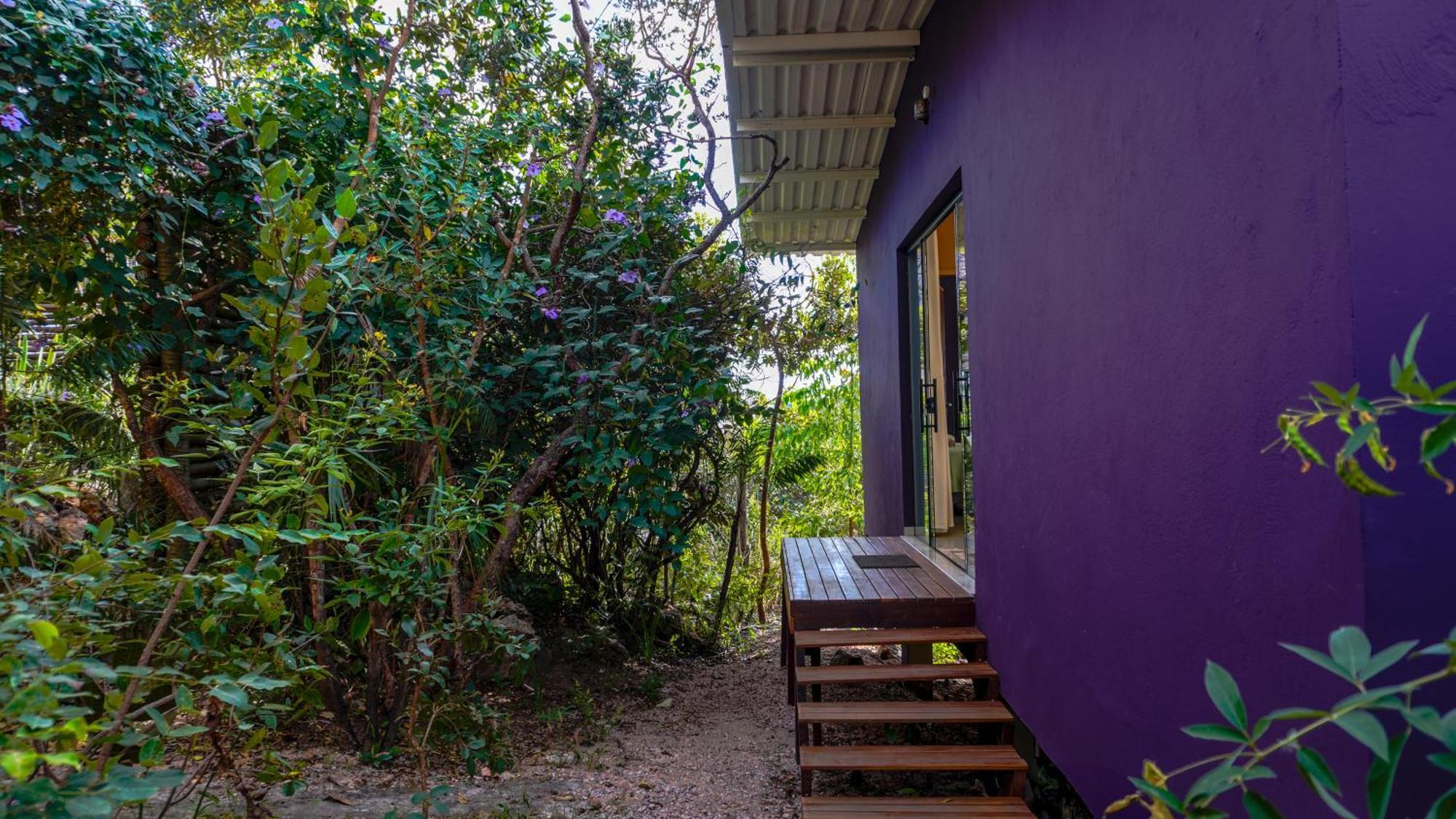 Vila Flor - Chapada Dos Veadeiros Alto Paraíso de Goiás Buitenkant foto