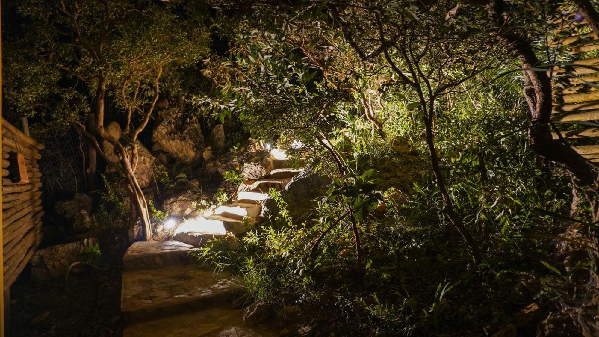 Vila Flor - Chapada Dos Veadeiros Alto Paraíso de Goiás Buitenkant foto