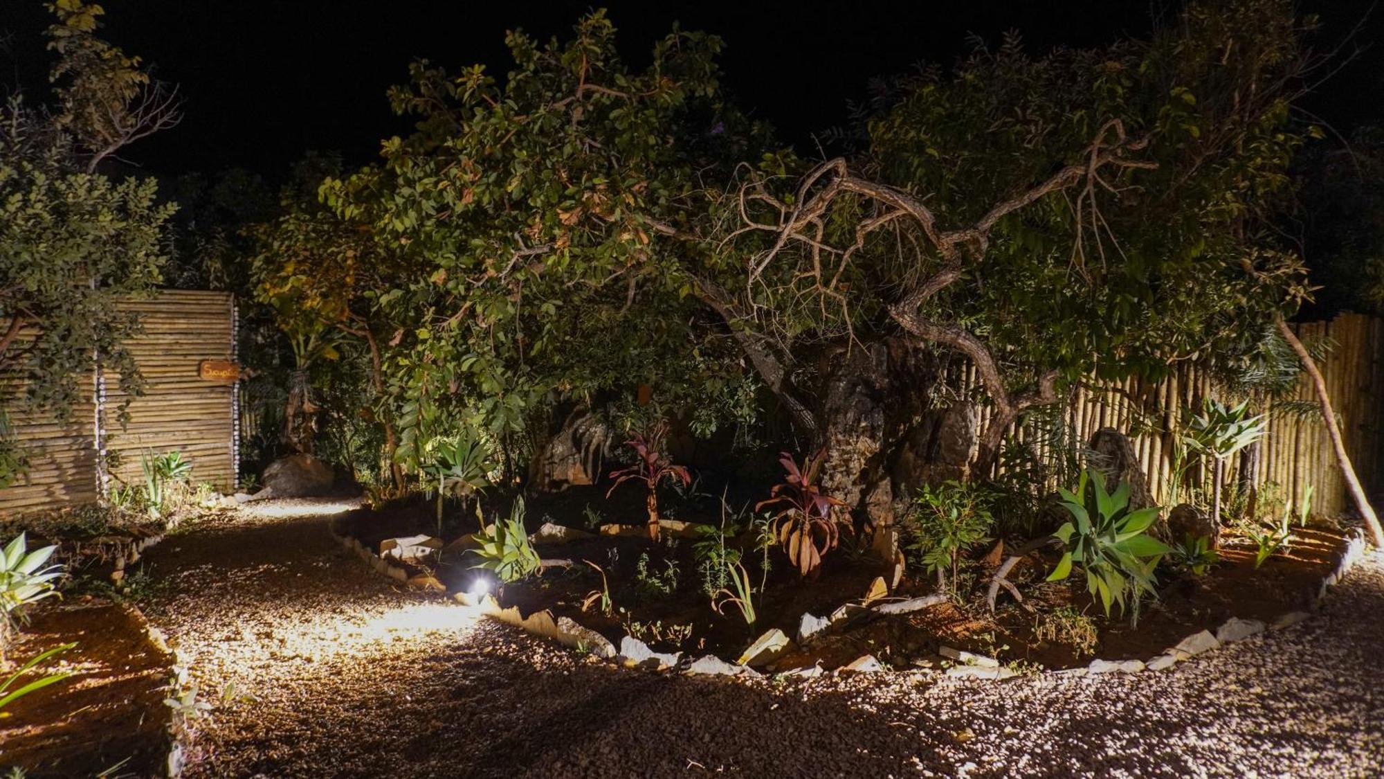 Vila Flor - Chapada Dos Veadeiros Alto Paraíso de Goiás Buitenkant foto